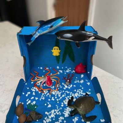 ocean habitat 3